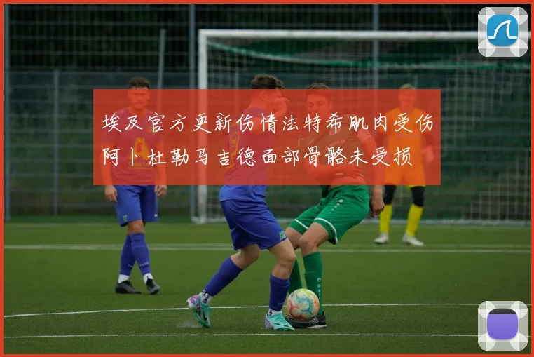 埃及官方更新伤情法特希肌肉受伤阿卜杜勒马吉德面部骨骼未受损