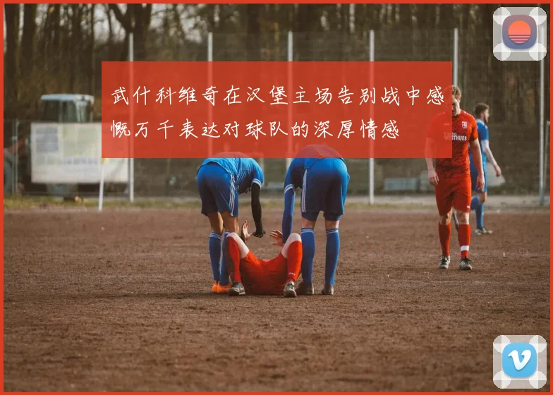 武什科维奇在汉堡主场告别战中感慨万千表达对球队的深厚情感